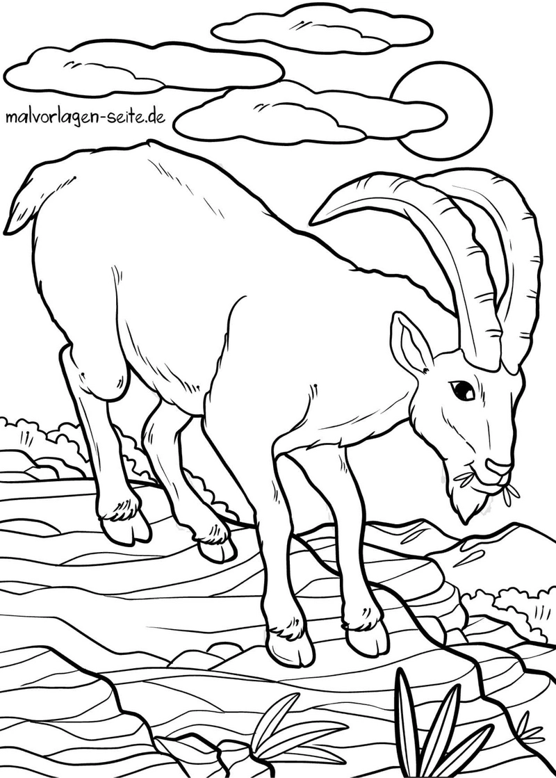 steinbock-auf-felsen-mit-naturhintergrund