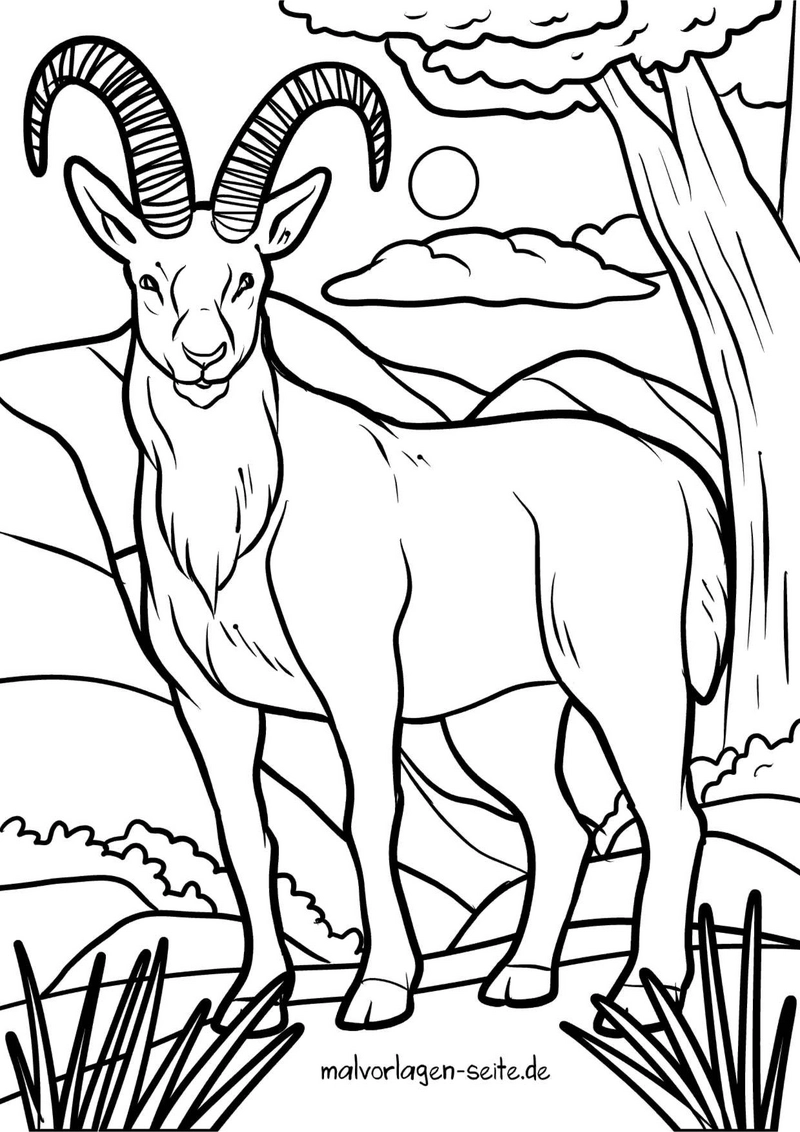 steinbock-in-der-natur-ausmalvorlage