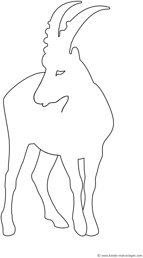 steinbock-mit-hoernern-ausmalvorlage