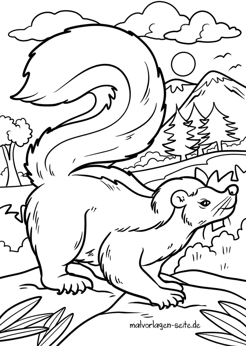 stinktier-in-der-natur-ausmalvorlage