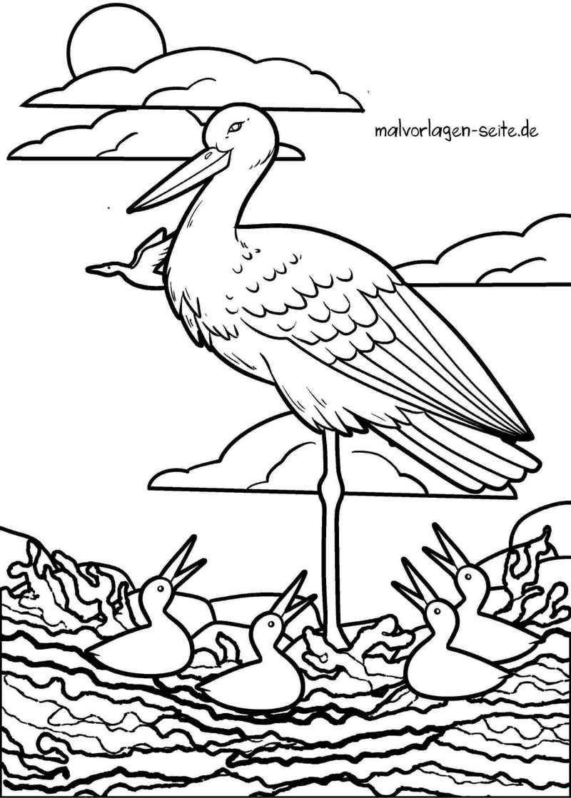 storch-mit-kueken-in-der-natur