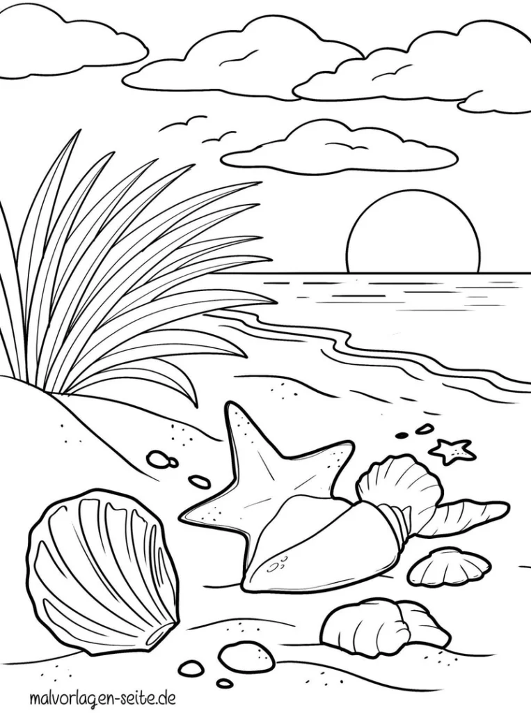 strandlandschaft-muscheln-seestern-malvorlage