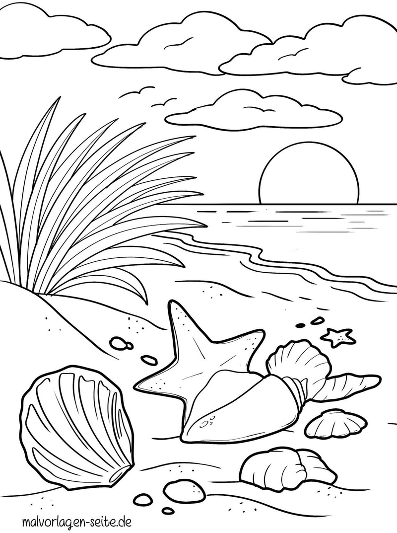 strandlandschaft-muscheln-seestern-malvorlage