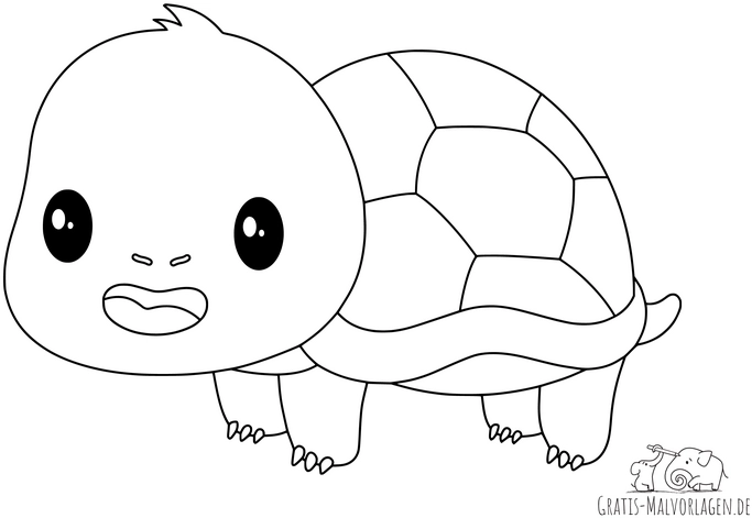 suedliche-schildkroete-ausmalvorlage