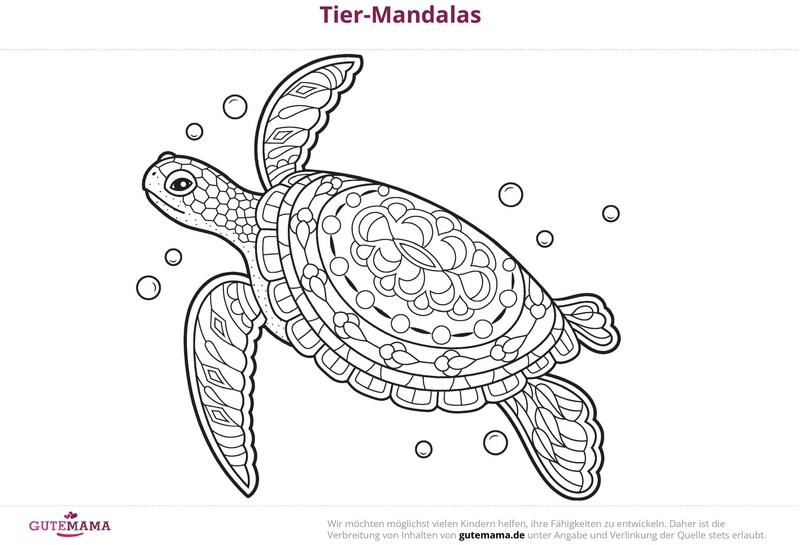 tier-mandala-schildkroete-ausmalbild