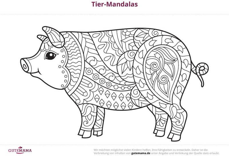 tier-mandala-schwein-kreative-muster