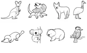 tiere-australiens-ausmalvorlage