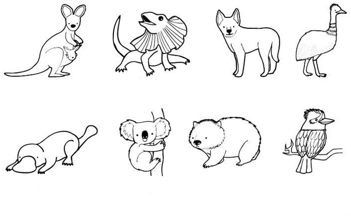 tiere-australiens-ausmalvorlage