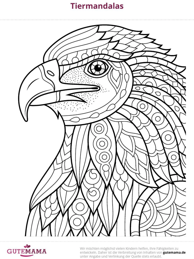 tiermandala-vogel-ausmalvorlage