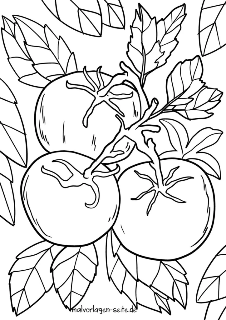 tomaten-mit-blattvorlage-zum-ausmalen