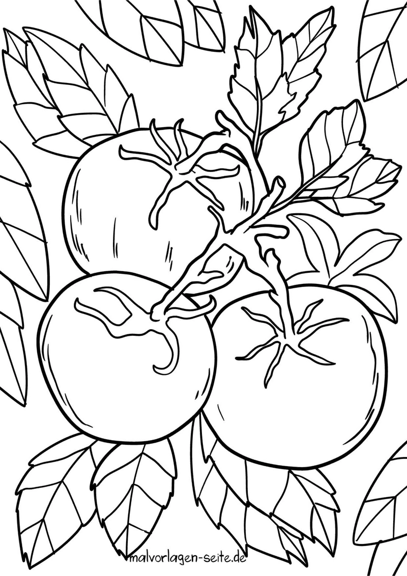 tomaten-mit-blattvorlage-zum-ausmalen