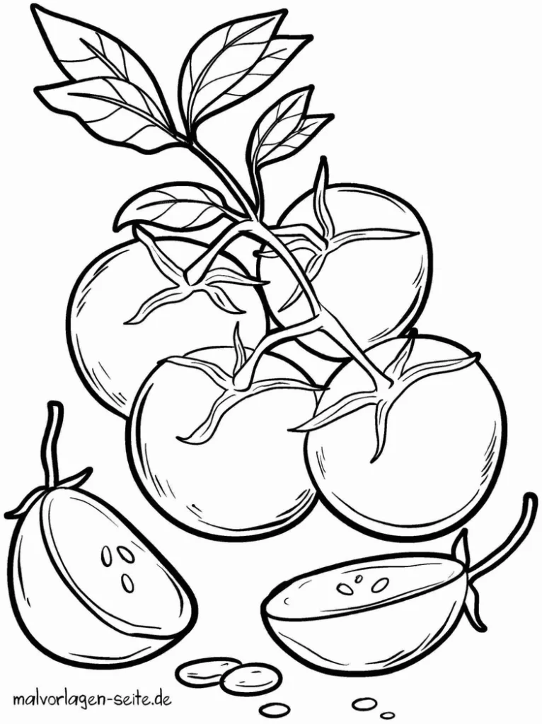 tomaten-zweig-mit-geschnittenen-fruechten