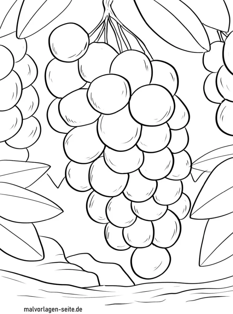 trauben-ausmalvorlage-mit-blaettern