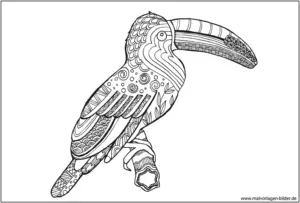 tukan-ausmalbild-fuer-erwachsene