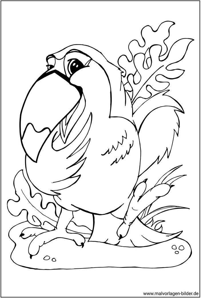 tukan-vogel-ausmalvorlage-kreativ-entdecken