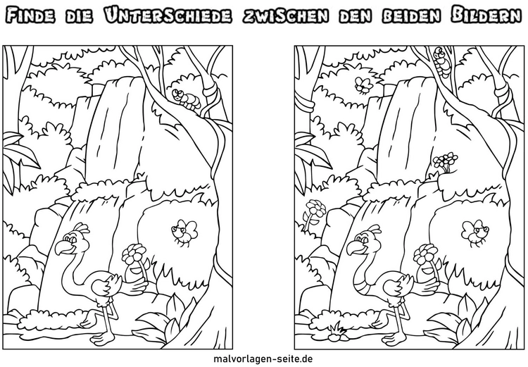 unterschiede-finden-vogel-wasserfall