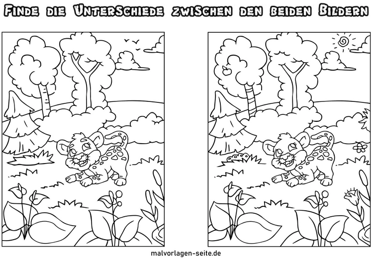 unterschiede-zwischen-bildern-löwe-natur
