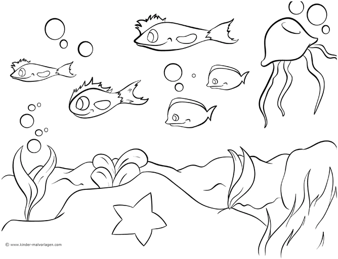 unterwasserwelt-fische-und-quallen