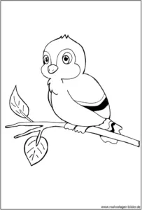 vogel-auf-einem-ast-malvorlage