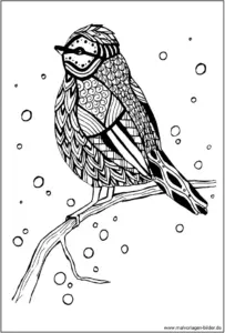 vogel-ausmalbild-fuer-erwachsene