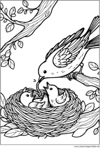 vogel-im-nest-ausmalvorlage