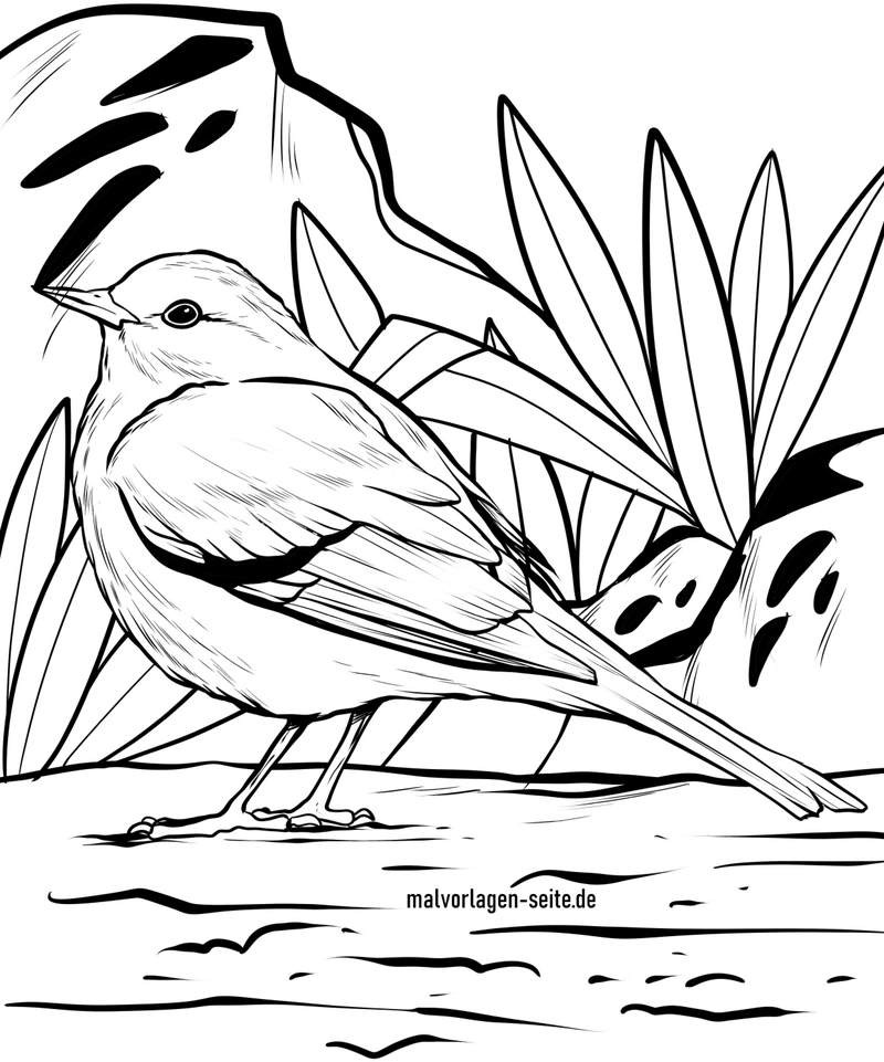 vogel-in-der-natur-ausmalvorlage
