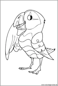 vogel-malvorlage-ausmalen-fuer-erwachsene