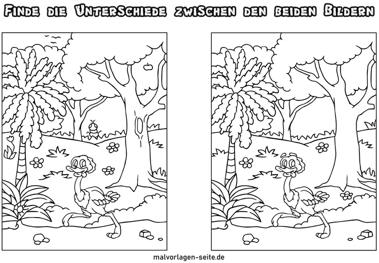 vogel-und-natur-unter unterschiede-malen
