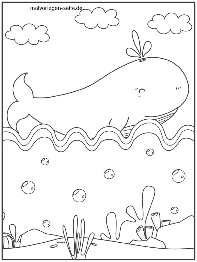 wal-im-wasser-mit-blasen-und-pflanzen