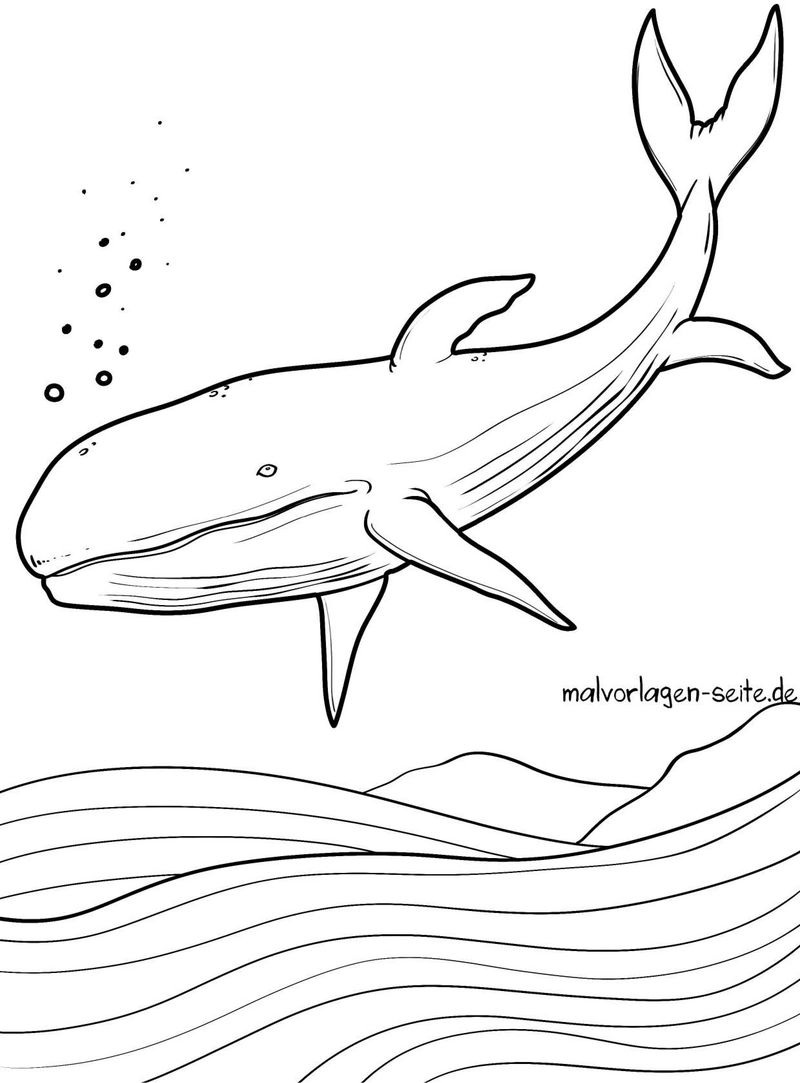 wal-in-der-natur-ausmalvorlage