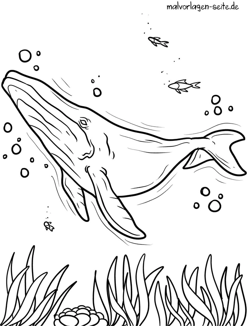 wal-mit-fischen-und-blasen