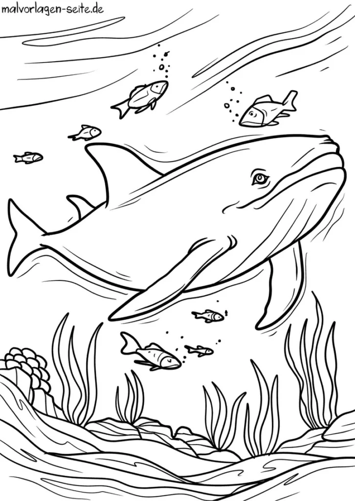 wal-mit-fischen-und-unterwasserwelt