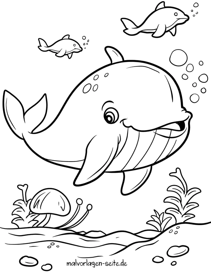 wal-und-fische-ausmalvorlage