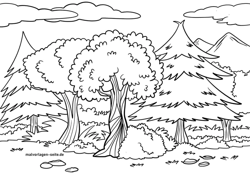 waldlandschaft-mit-baeumen-und-natur