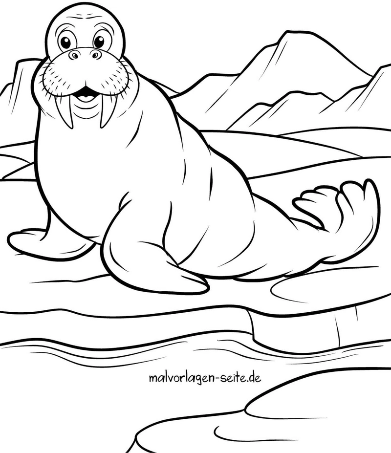 walross-ausmalvorlage-auf-eis-und-wasser