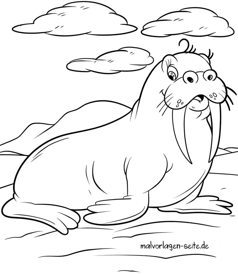 walross-in-natuerlicher-umgebung