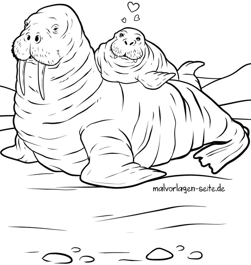walross-mit-baby-herzen-ausmalvorlage