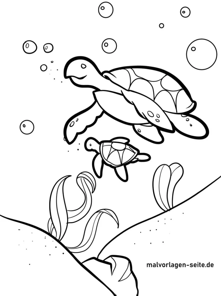 wasserschildkroeten-im-unterwasserparadies