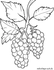 weintrauen-malen-ausmalvorlage