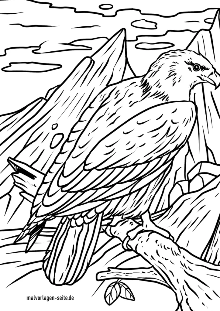 weisskopfseeadler-in-der-natur-malen