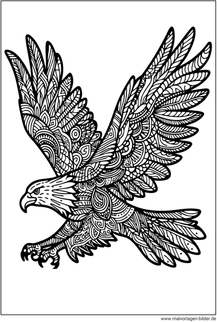 weisskopfseeadler-mandala-malvorlage-fuer-kinder