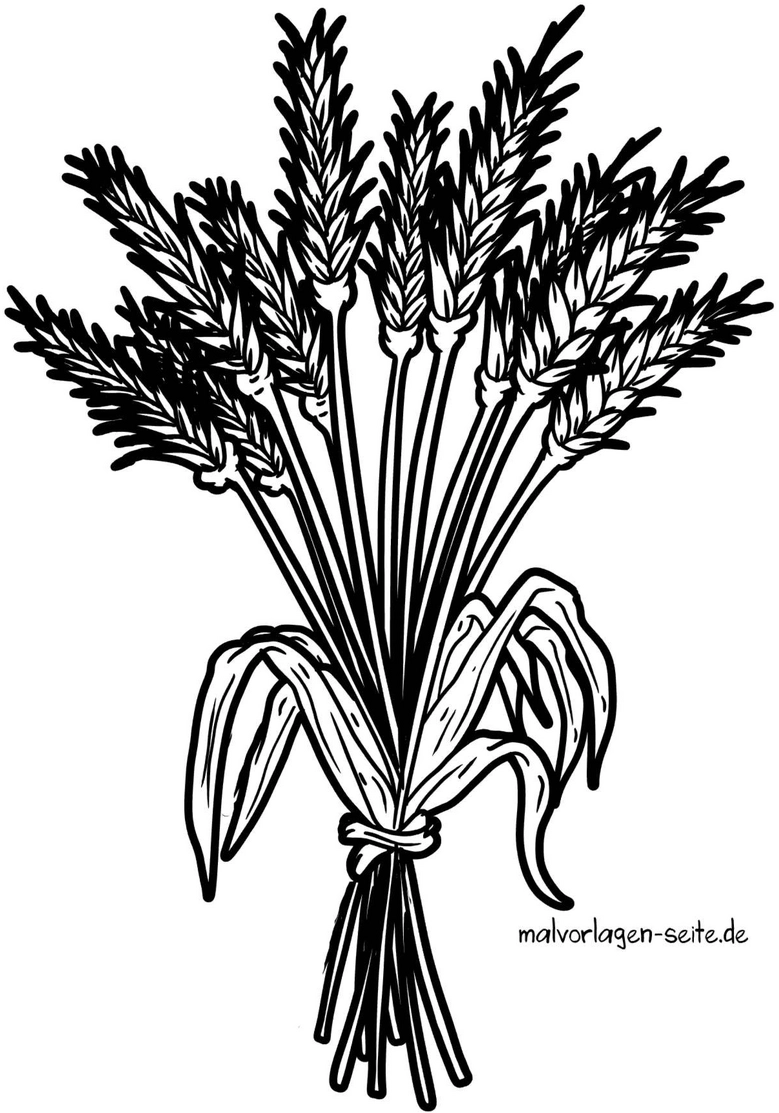 weizenstrauss-ausmalvorlage