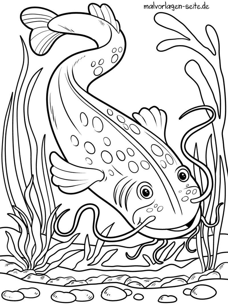 wels-unterwasser-mit-pflanzen