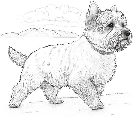 west-highland-white-terrier-ausmalbild
