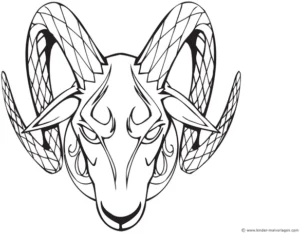 widder-malvorlage-ausmalbild-ideen