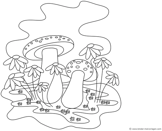 wiese-mit-pilzen-und-blumen