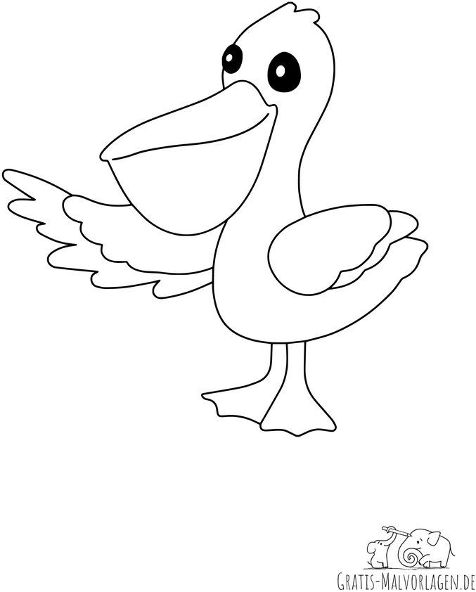winkender-pelikan-ausmalvorlage