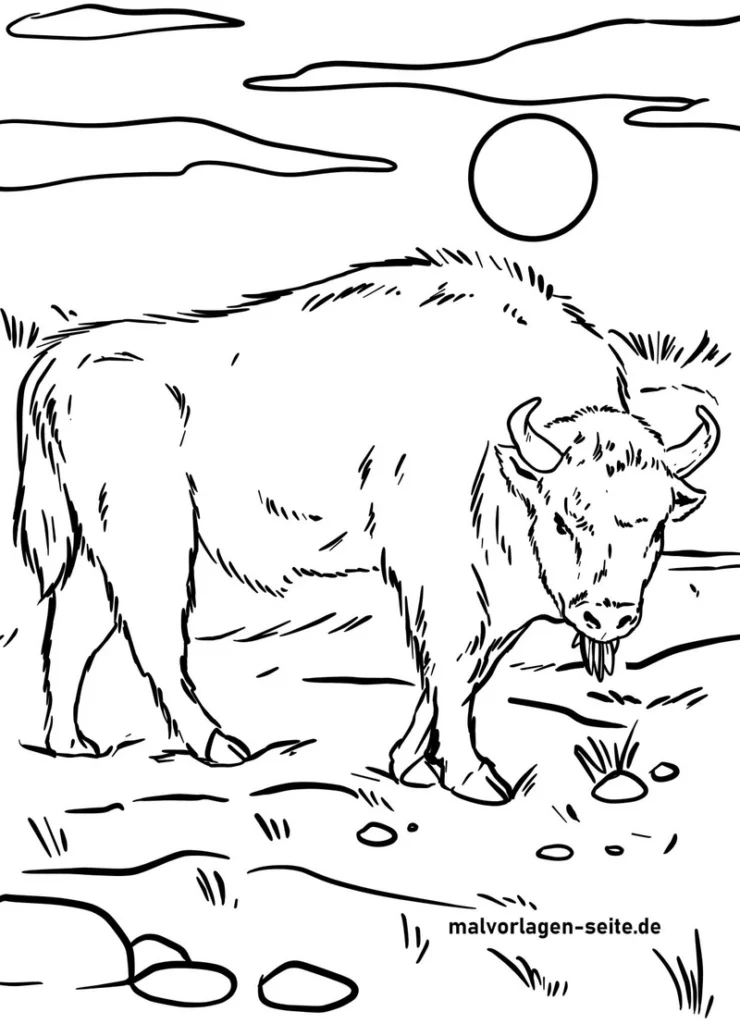 wisent-in-der-natur-malen