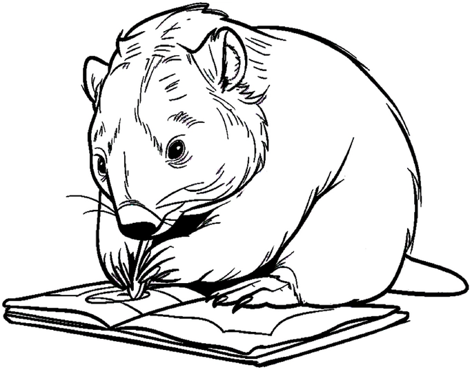 wombat-beim-ausmalen-eines-buches