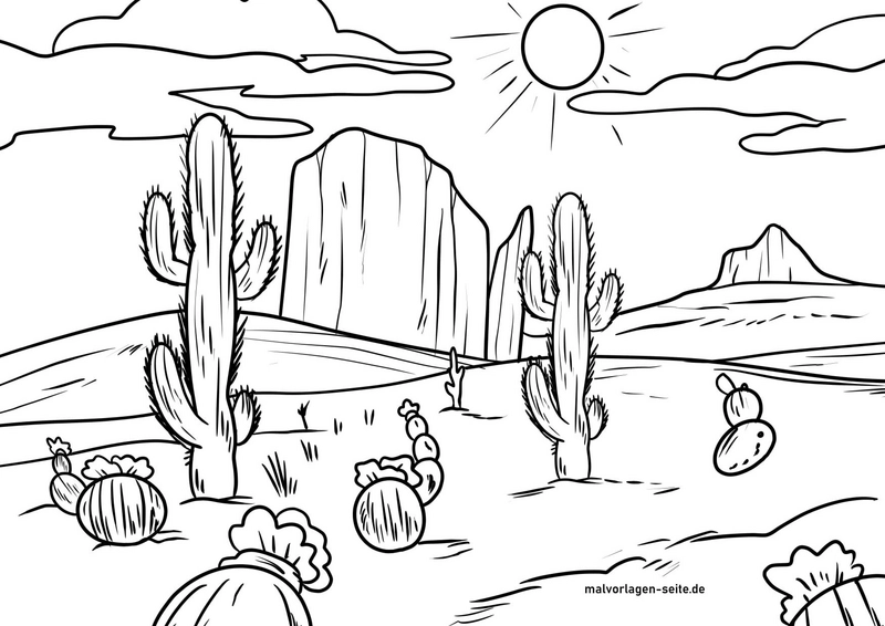 wuestenlandschaft-mit-kakteen-und-felsen